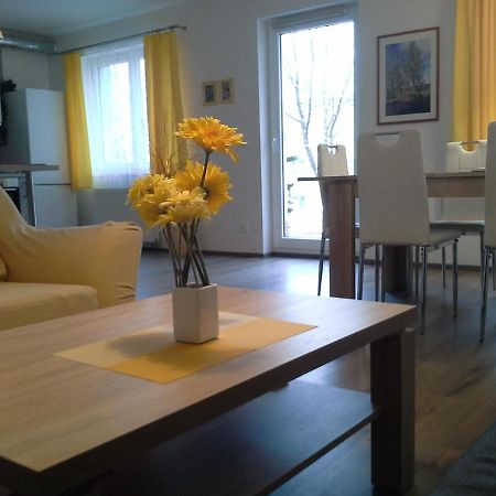 Rodinny Apartman Lucie V Blizkosti Wellness Hotelu Ve Frymburku Ngoại thất bức ảnh