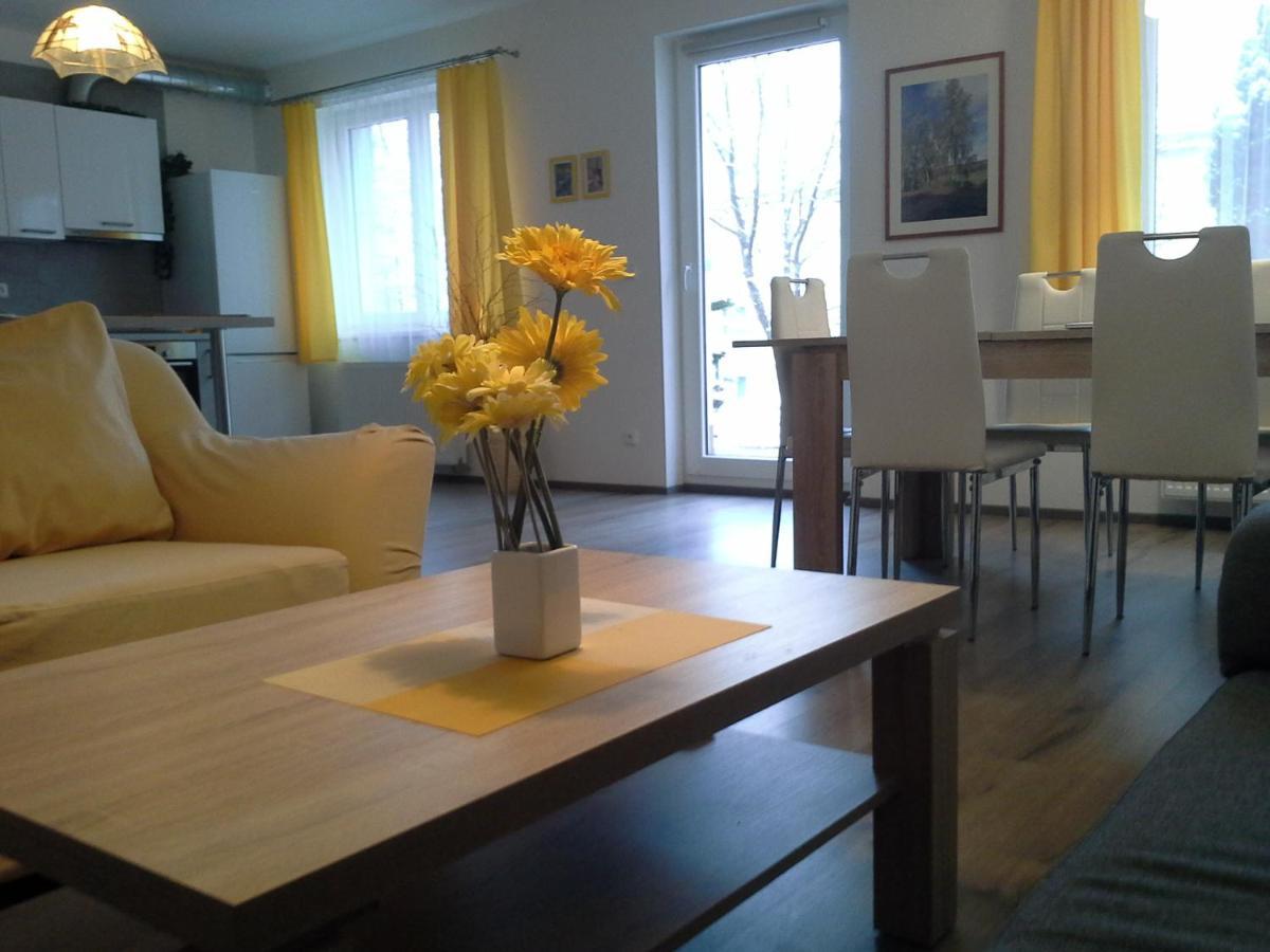 Rodinny Apartman Lucie V Blizkosti Wellness Hotelu Ve Frymburku Ngoại thất bức ảnh