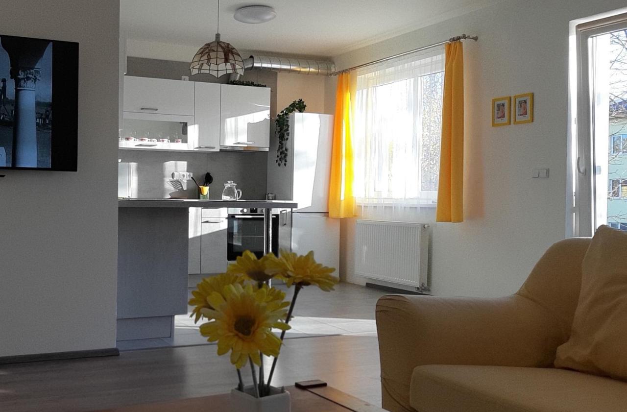 Rodinny Apartman Lucie V Blizkosti Wellness Hotelu Ve Frymburku Ngoại thất bức ảnh