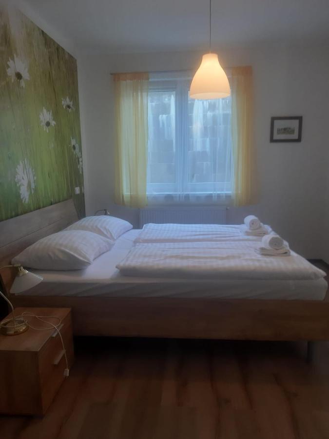 Rodinny Apartman Lucie V Blizkosti Wellness Hotelu Ve Frymburku Ngoại thất bức ảnh