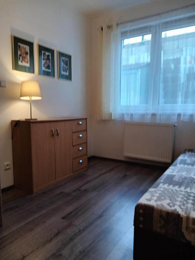 Rodinny Apartman Lucie V Blizkosti Wellness Hotelu Ve Frymburku Ngoại thất bức ảnh